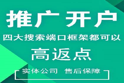 某电商企业SEM竞价代运营全记录：销量翻倍的奥秘